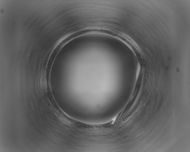 X0000051250980200506241542