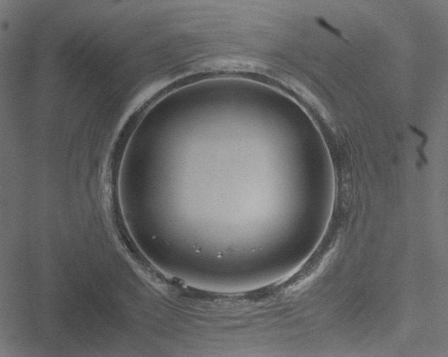 X0000051250981200506241542