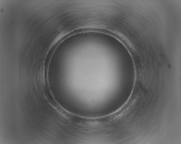 X0000051250982200506241542