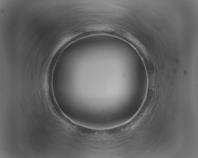 X0000051250983200506241542