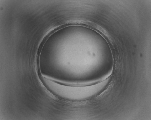 X0000051250984200506241542