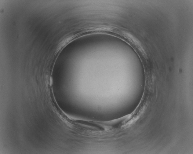 X0000051250985200506241542