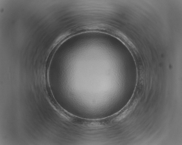 X0000051250986200506241542