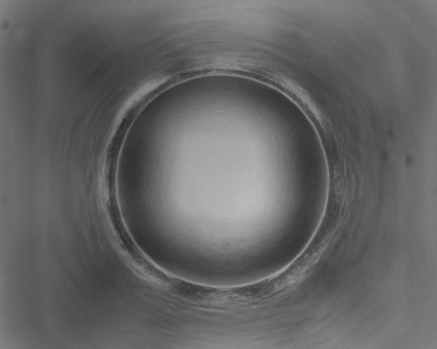 X0000051250987200506241542