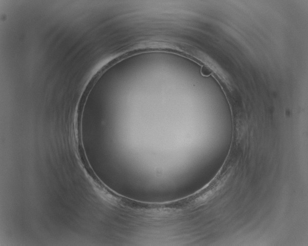 X0000051250988200506241542