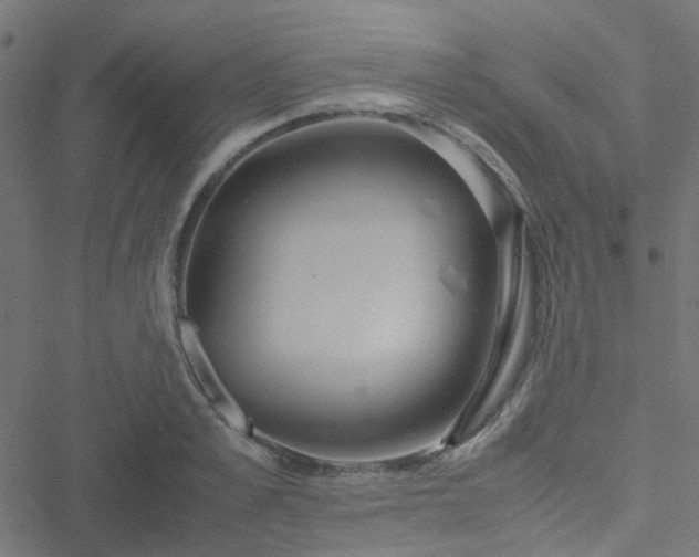 X0000051250989200506241542