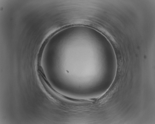 X0000051250991200506241542