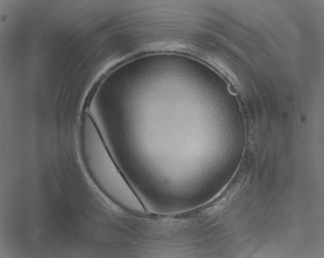 X0000051250992200506241542