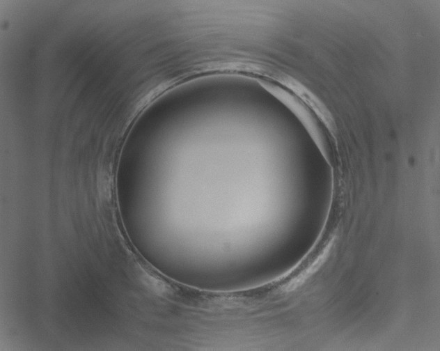 X0000051250993200506241542