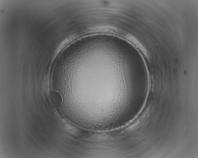 X0000051250994200506241542