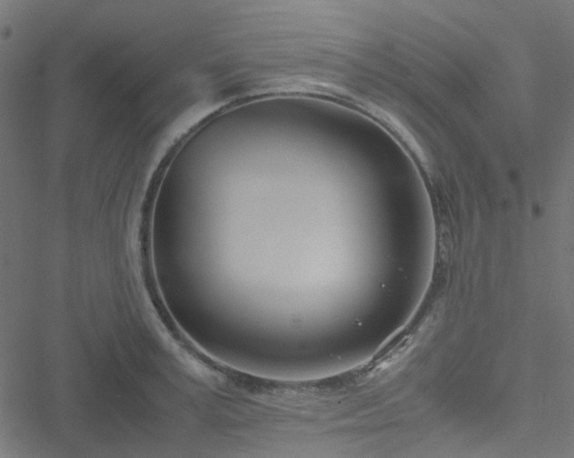 X0000051250995200506241542