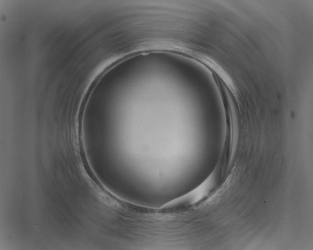 X0000051250996200506241542