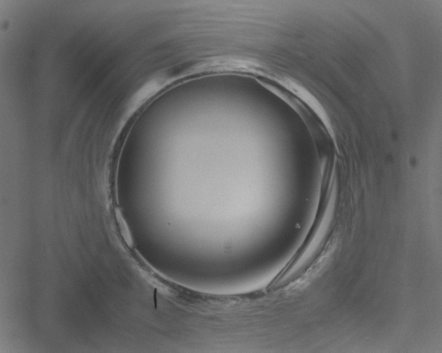 X0000051250997200506241542