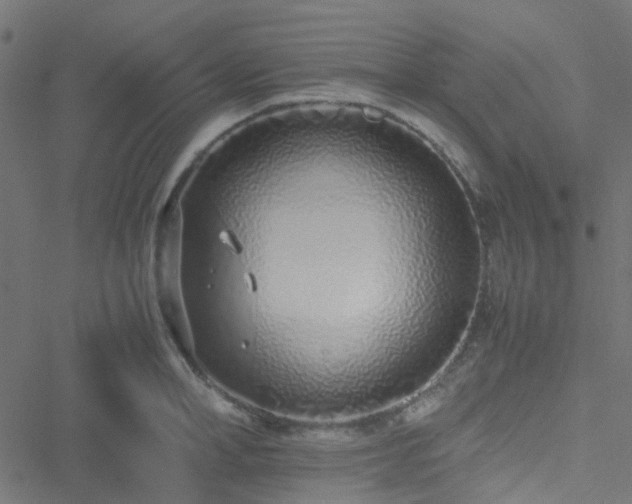 X0000051250998200506241542