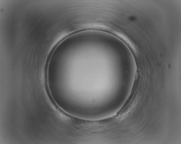 X0000051250999200506241542