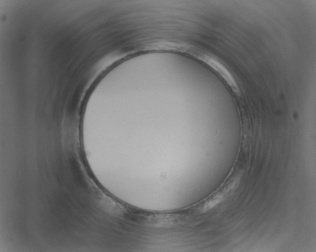 X0000051251000200506241542