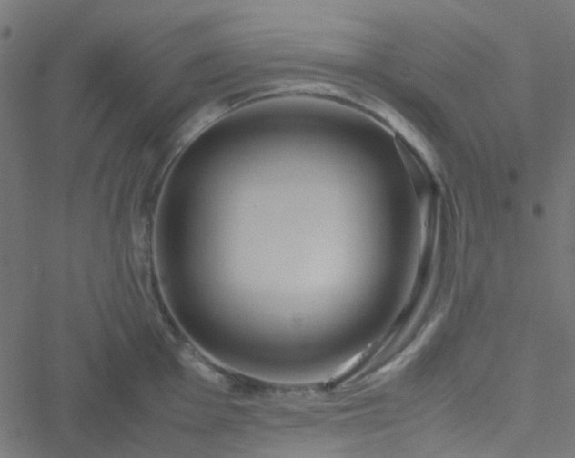 X0000051251001200506241542