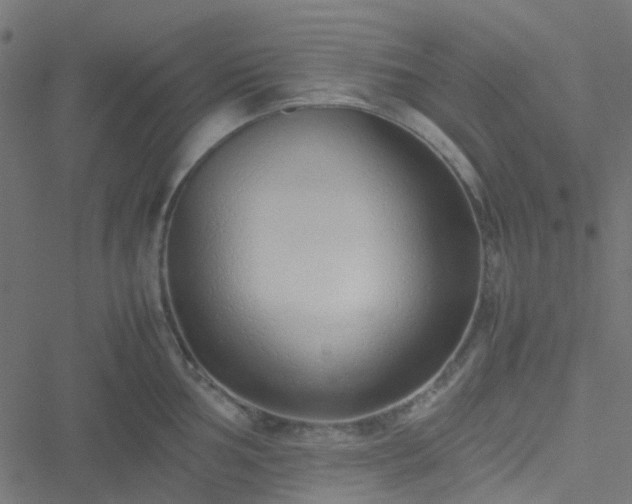 X0000051251002200506241542