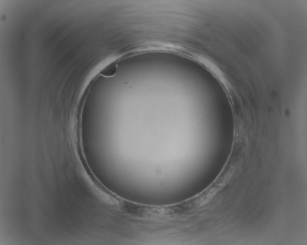 X0000051251003200506241542