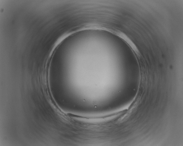 X0000051251004200506241542