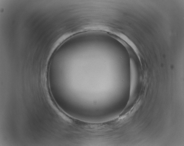 X0000051251005200506241542