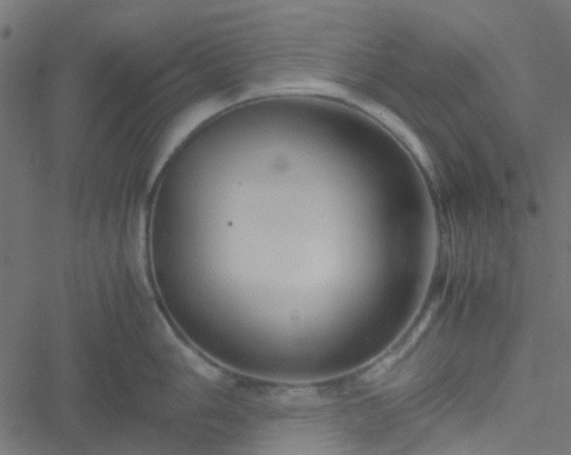 X0000051251006200506241542