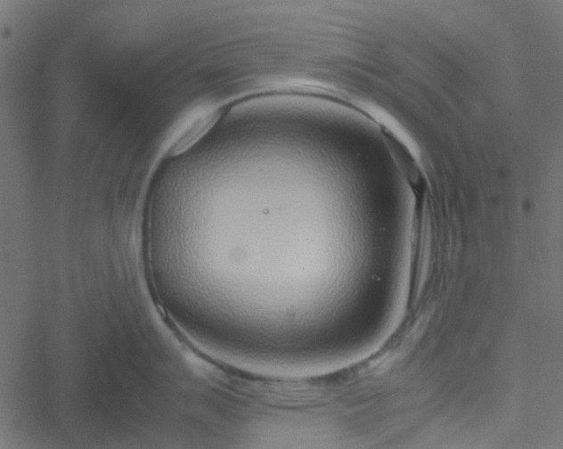 X0000051251007200506241542