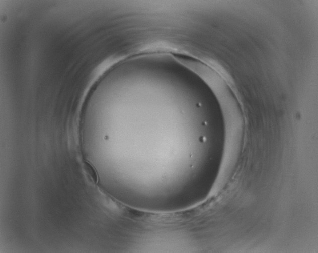 X0000051251008200506241542