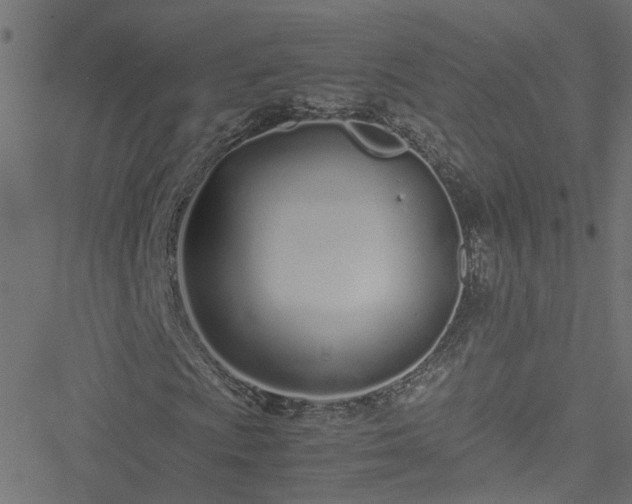 X0000051251009200506241541