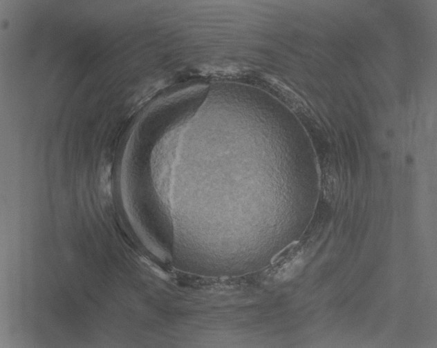 X0000051251010200506241541