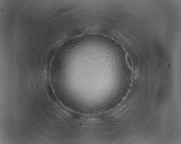 X0000051251011200506241541