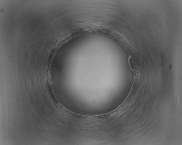 X0000051251012200506241541