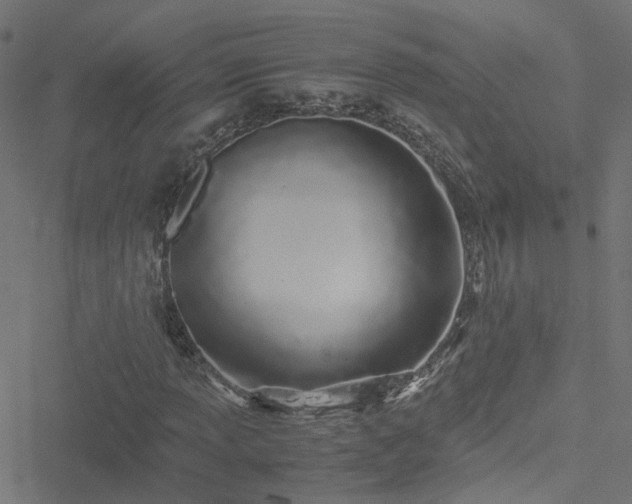 X0000051251013200506241541