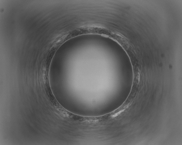 X0000051251014200506241541