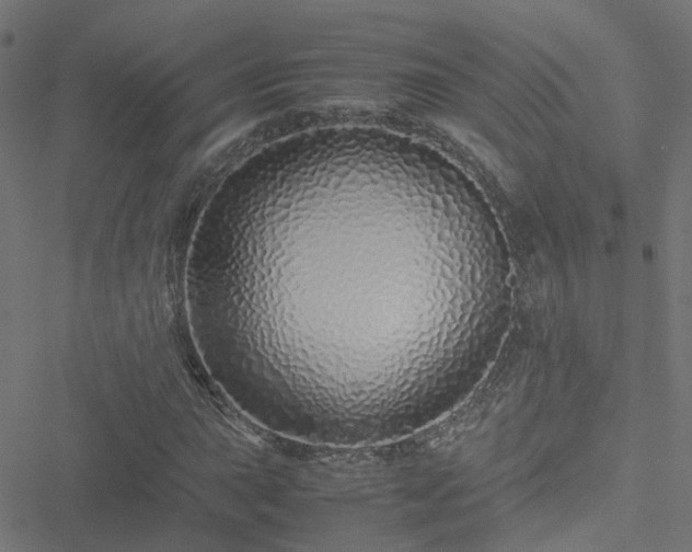 X0000051251015200506241541