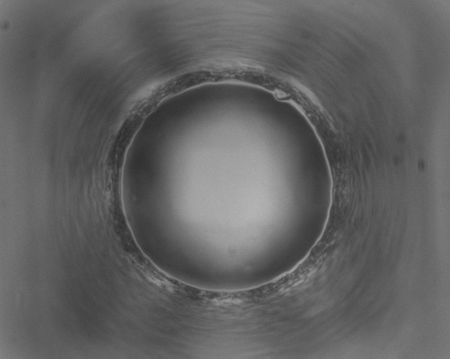 X0000051251016200506241541