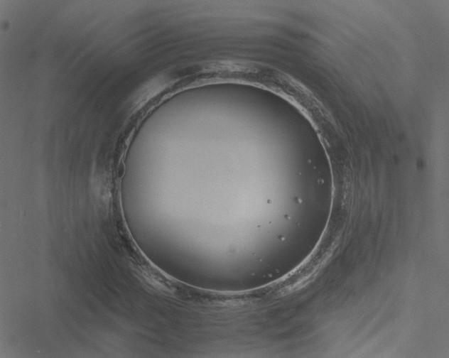 X0000051251017200506241541