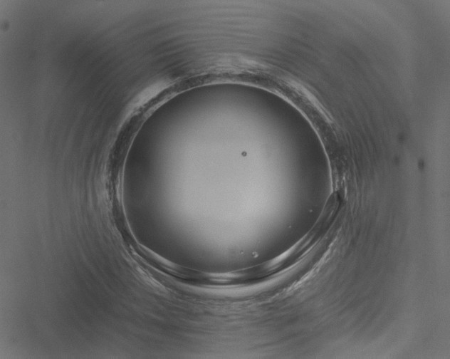 X0000051251018200506241541