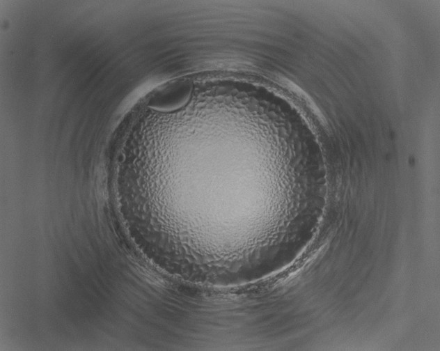 X0000051251019200506241541