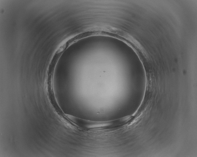 X0000051251020200506241541