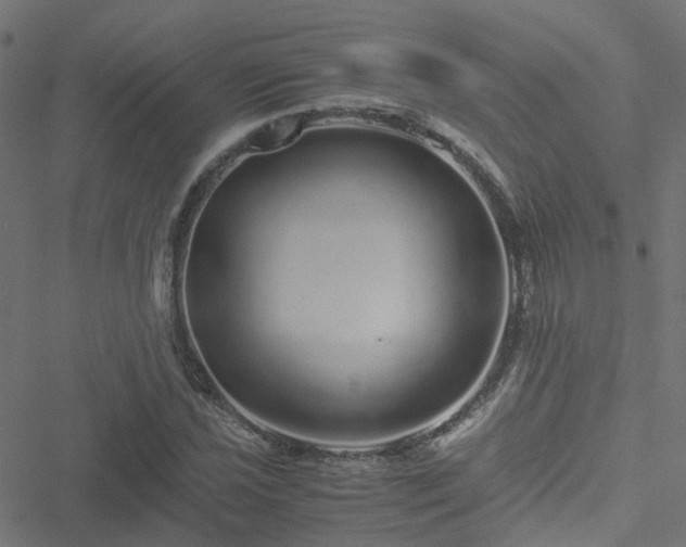 X0000051251021200506241541