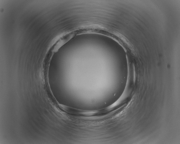 X0000051251022200506241541