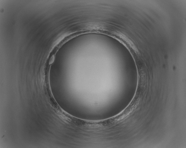 X0000051251023200506241541