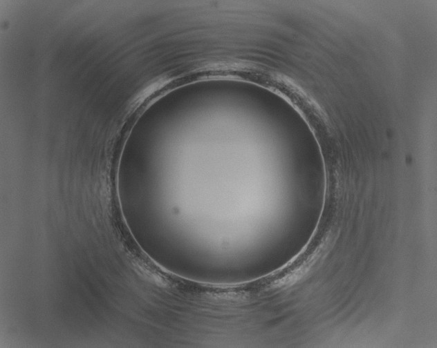 X0000051251025200506241541