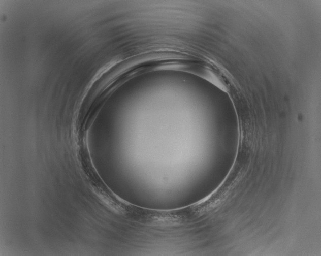 X0000051251026200506241541