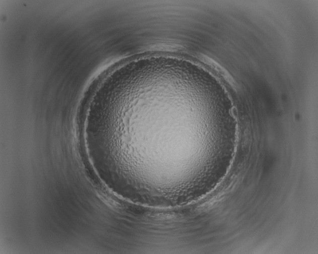 X0000051251027200506241541