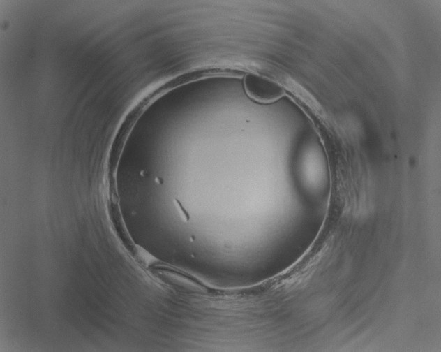 X0000051251028200506241541