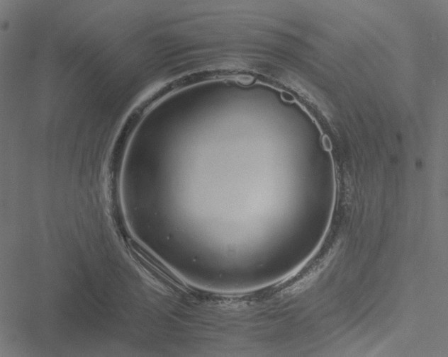 X0000051251029200506241541