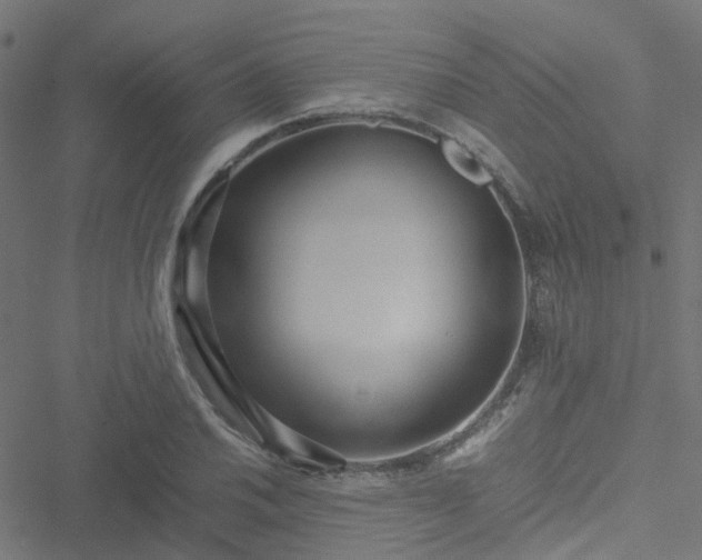 X0000051251030200506241541