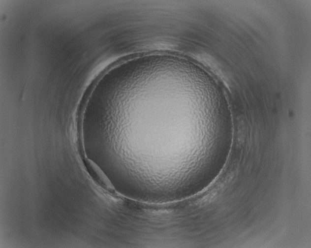 X0000051251031200506241541